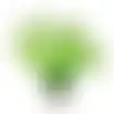 Plant aquarium plastic asssorti S