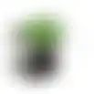 Voedersilo Yrsa zaden+noten metaal grijs/groen