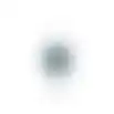 Spiegel rond + bel parkiet