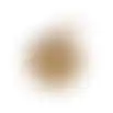 Cocosnoot half vet+soldaat vlieg