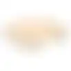 Knaagdier hoek plateau hout 17cm