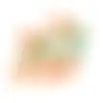Knabbelhout knaagdier Cora 5,5x2cm FP