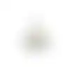 Lamp LED 20W glas MR16 12V Philips