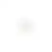 Lamp LED cap 20W G4 12V Philips