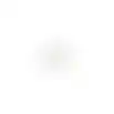Lamp LED cap 20W G4 12V dim Philips