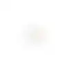 Lamp LED cap 40W G9 Philips