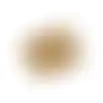 Koekendoos glitter gold