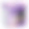 Luchtverfrisser Lavendel 150ml Poppy