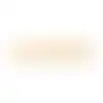 Pizzaplaat steen BBQ 34cm Nice Cooker