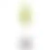 Parasol Domburg 200cm lime