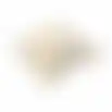 Florina lila F522 50x50 pillow pp