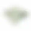 Grasse green O291 50x50 pillow