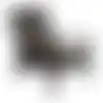Stoel Harston zwart