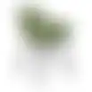 Stoel Piana groen