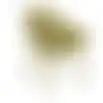 Stoel Vilata groen