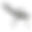 Stoel standen Larus Antraciet Bois le Duc