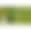 Heggenschaar UniversalHedgePole 18 BareTool
