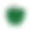 Feromoonval buxusmot 5St Solabiol