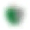 Feromoonval buxusmot 5St Solabiol
