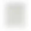 Blauwmaker hortensia 500G Pokon