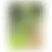 Graszaad speelgazon 500gr VC