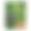 Graszaad schaduwgazon 500gr VC
