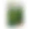 Graszaad schaduwgazon 2500gr VC