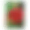 Rozen+planten mest 3000gr Bel Garden