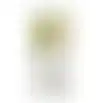 Snoeischaar aambeeld 8855 Gardena