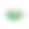 Binddraad groen + houder 100m Bel Garden