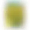 Eranthis Cilicica per 30