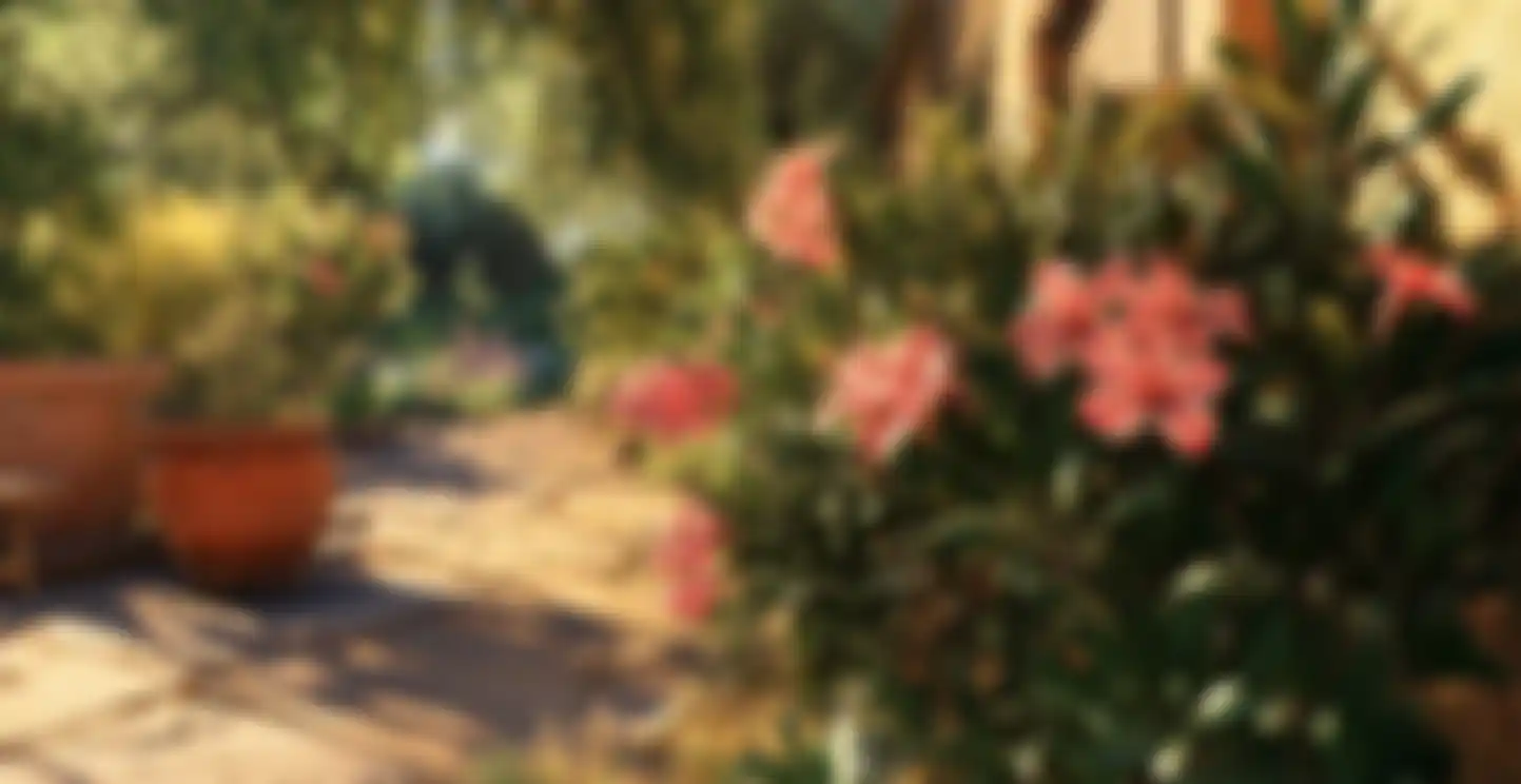 Oleander