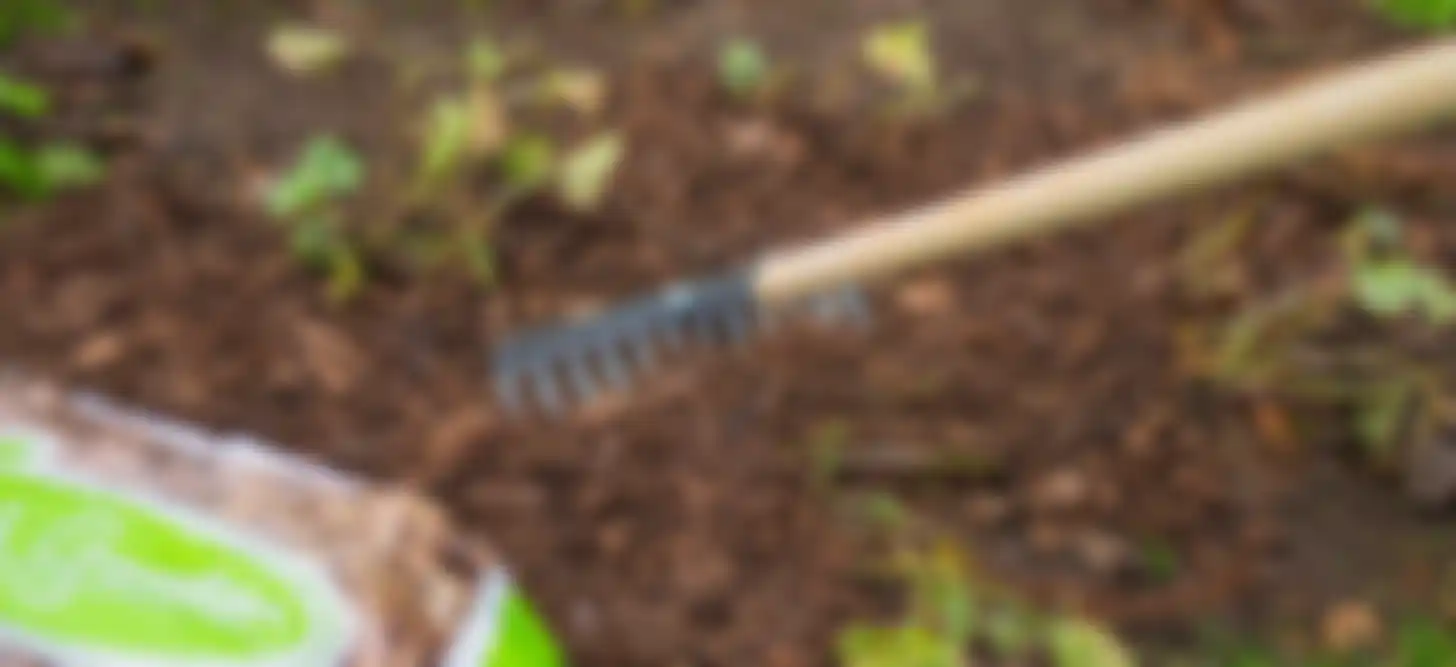 Bloembollen planten