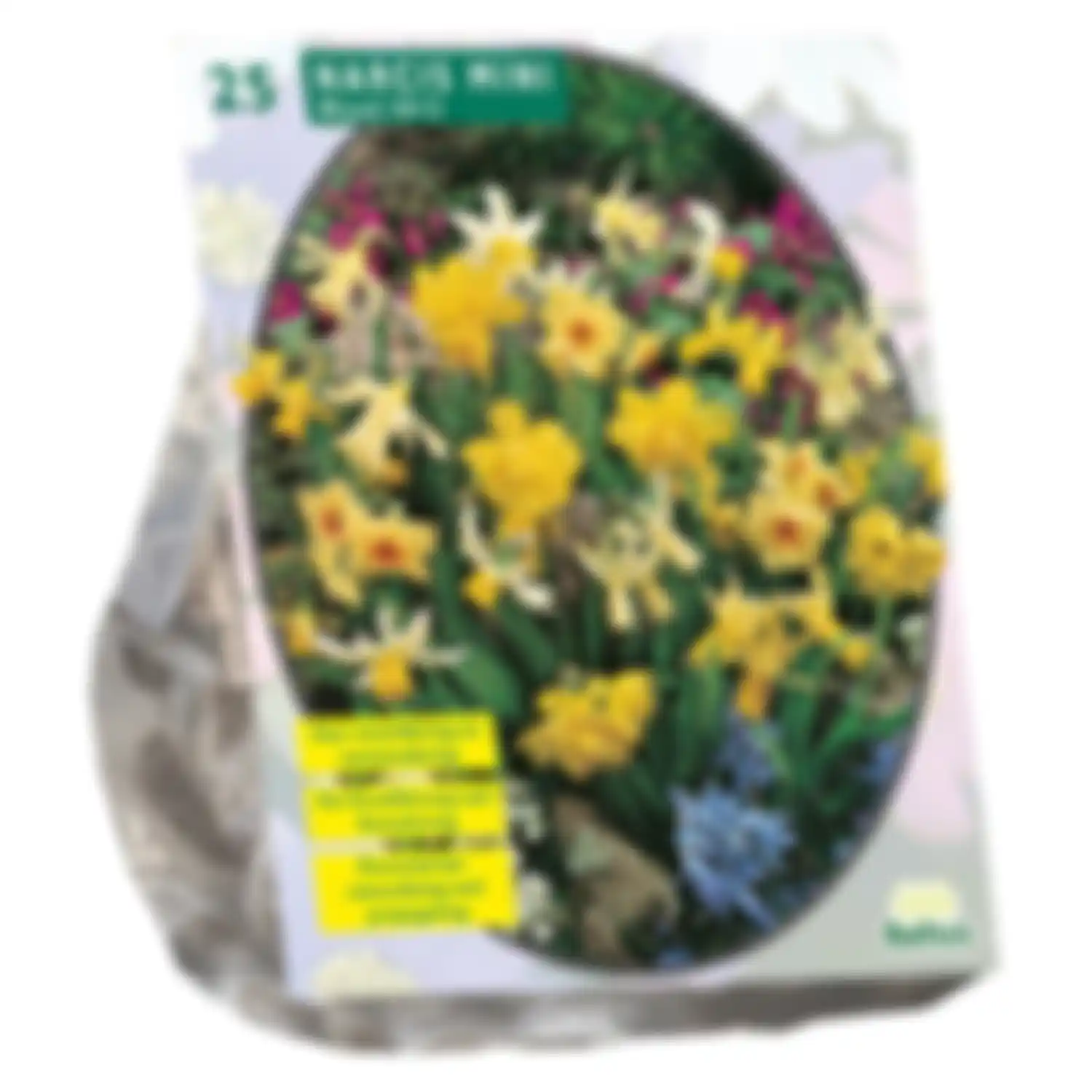 Narcissen bloembollen
