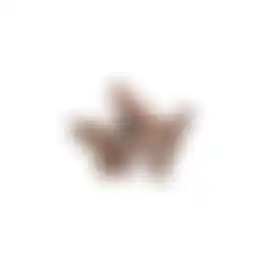 Snack hond runderlong 1000g Smulti