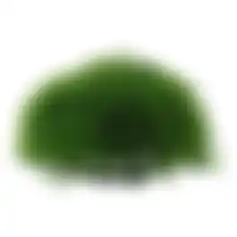 Plant aquarium halve mosbal 12cm
