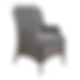Stoel Creda Willow Grey Bois le Duc