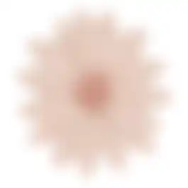 Bloem 13cm 2ass