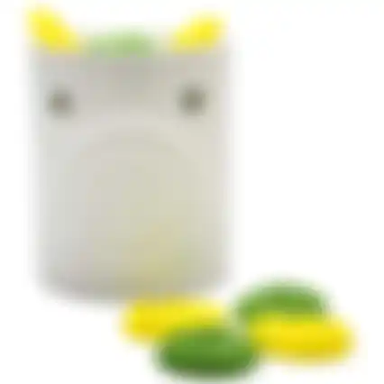 Scentchips citronella brander+chips
