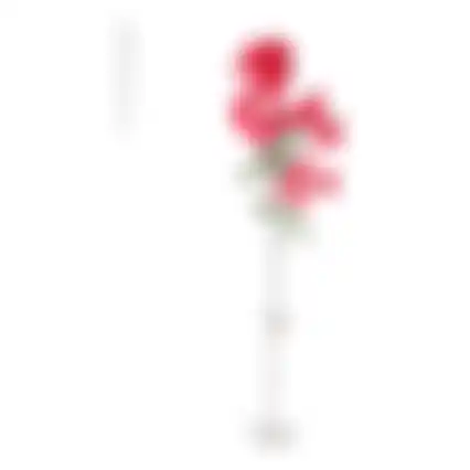 Bougainville fuchsia 100cm