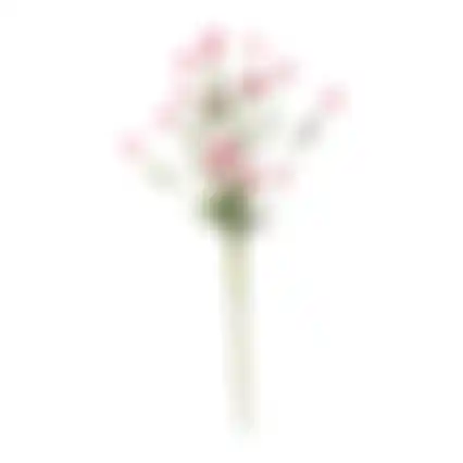 Tak bloemen Aleide fuchsia