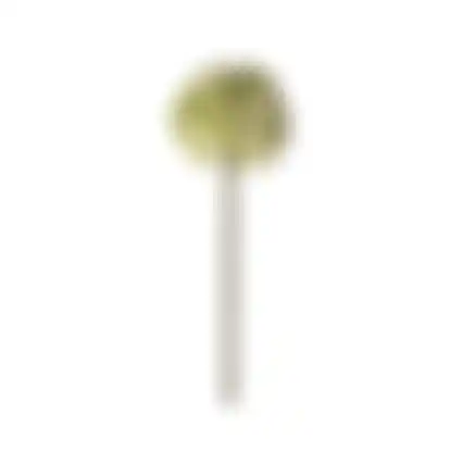 Sierui 55cm groen