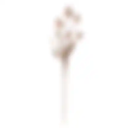 Tak papaver 105cm