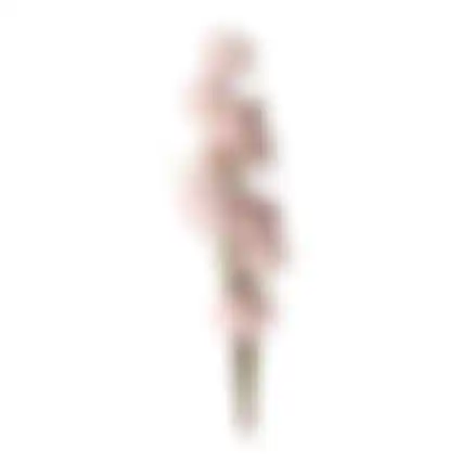 Tak bloem 110cm roz