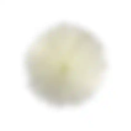 Tak fluff 82 cm crème
