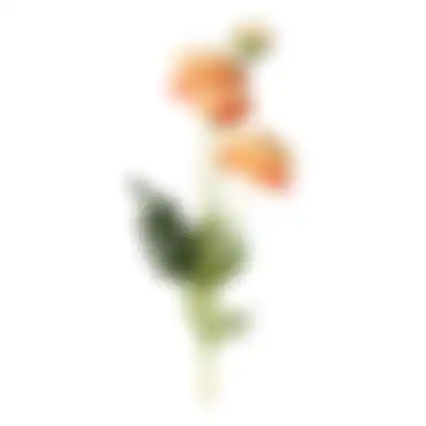 Bloem zinnias koraal 61cm