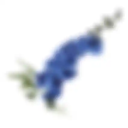 Bloem Delphinium blauw 78cm