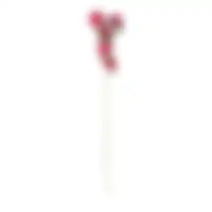Bloem Ranunculus fuchsia 70cm