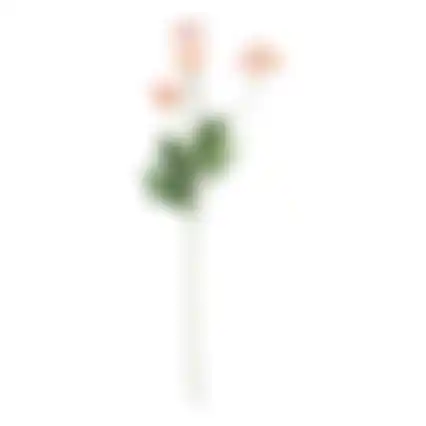 Bloem Poppy roze 59cm