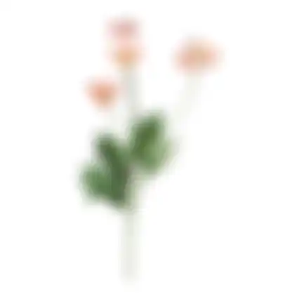 Bloem Poppy roze 59cm